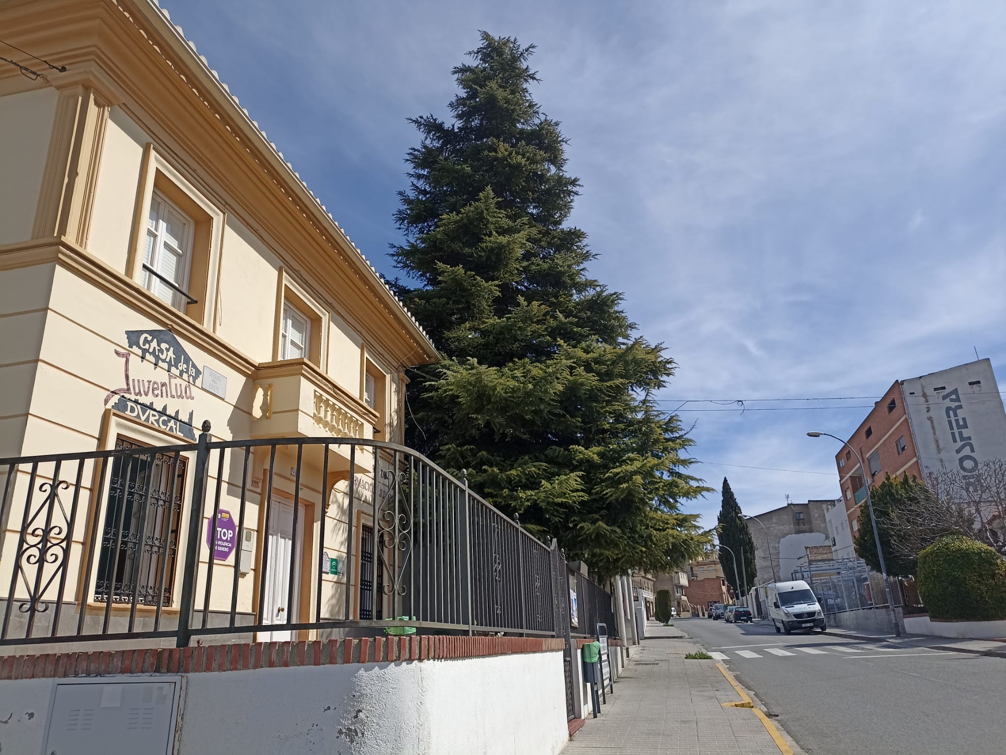 Las Avenidas De Entrada Y Salida A D rcal Se Denominar n Alcalde Don 