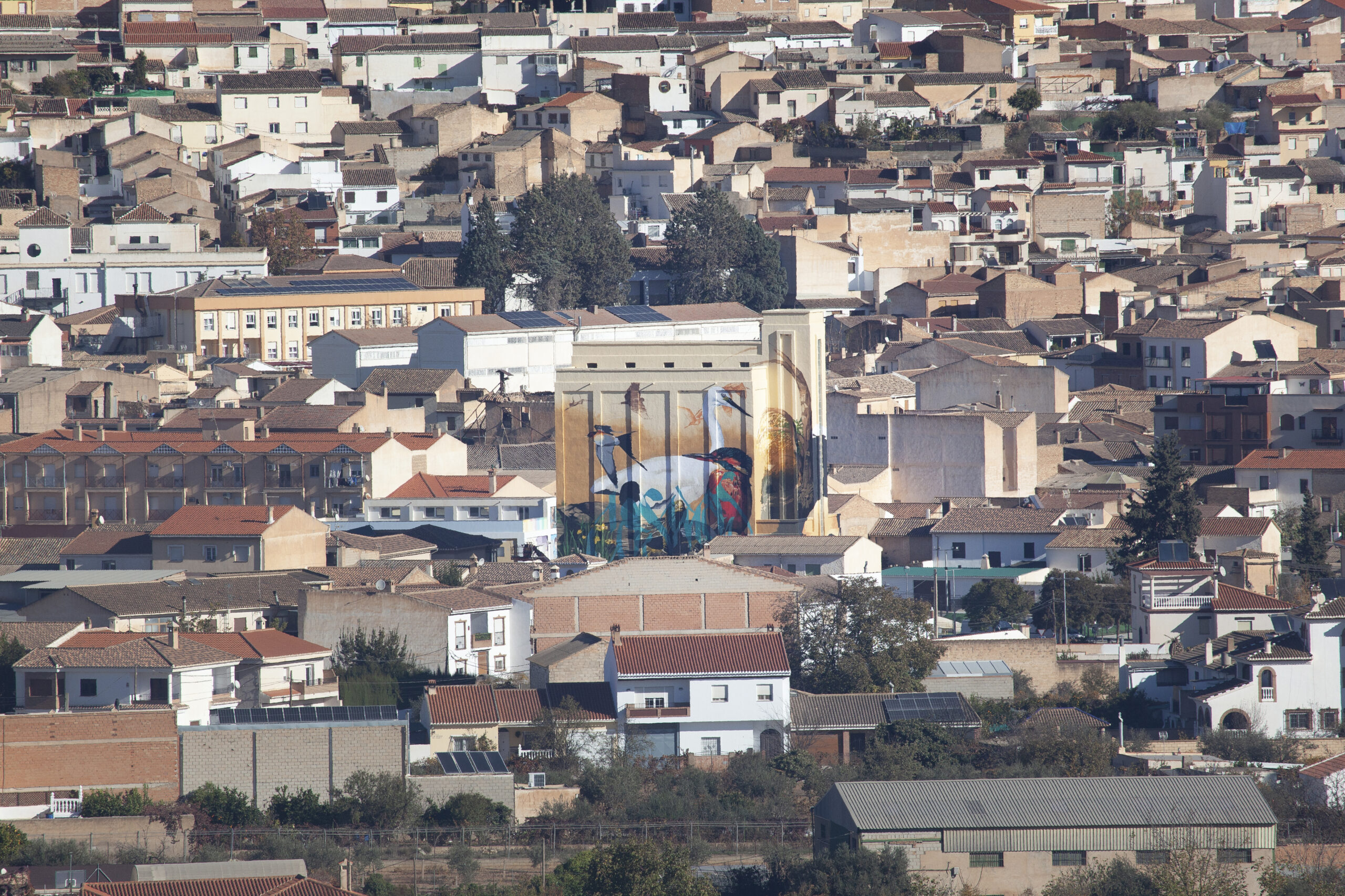 FOTO MIGUEL ÁNGEL POYATOS