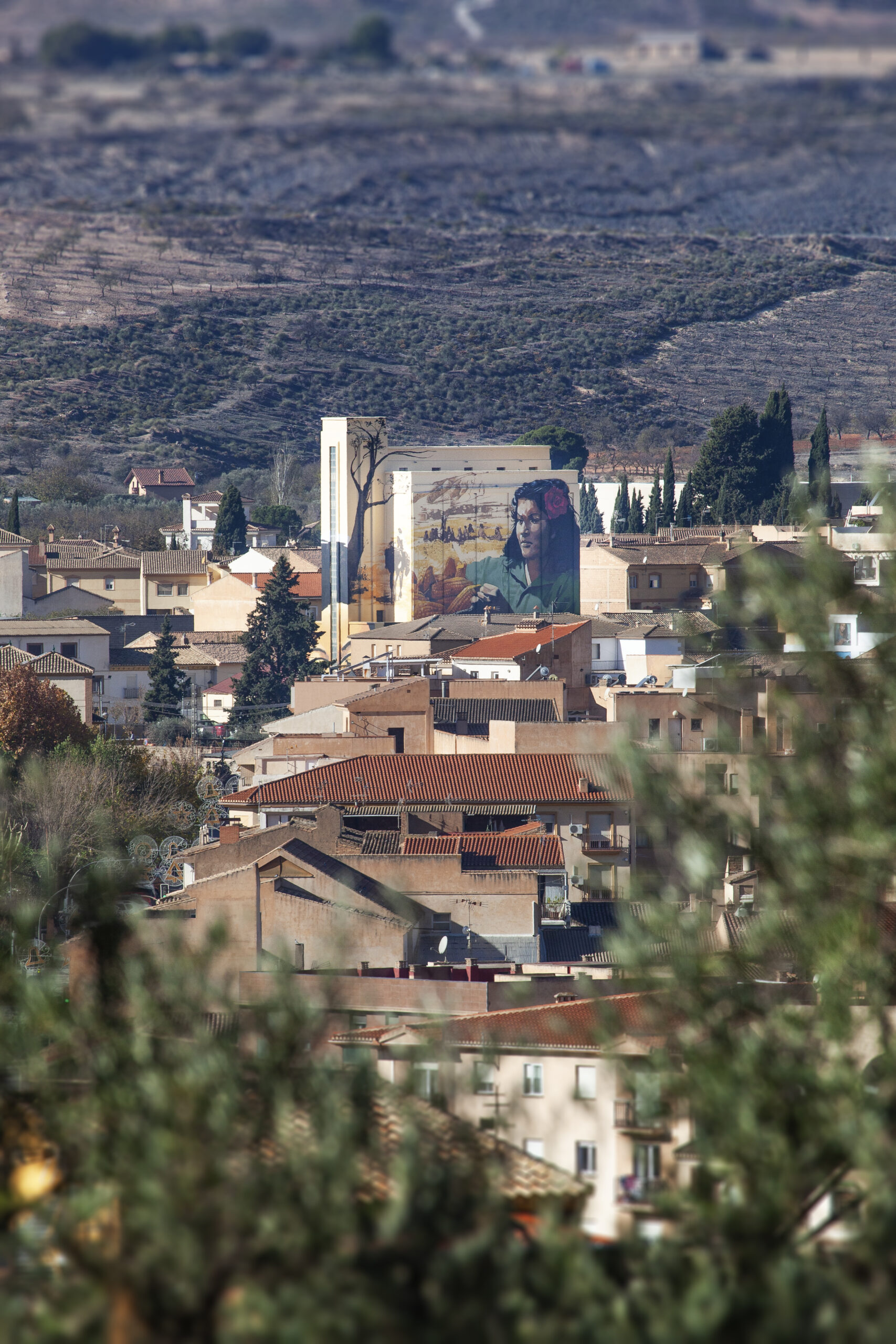 FOTO MIGUEL ÁNGEL POYATOS