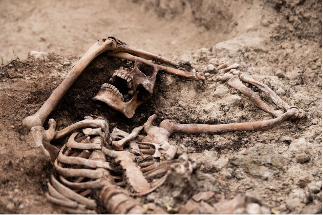 La Universidad de Granada retoma las exhumaciones en las fosas del cementerio de Padul