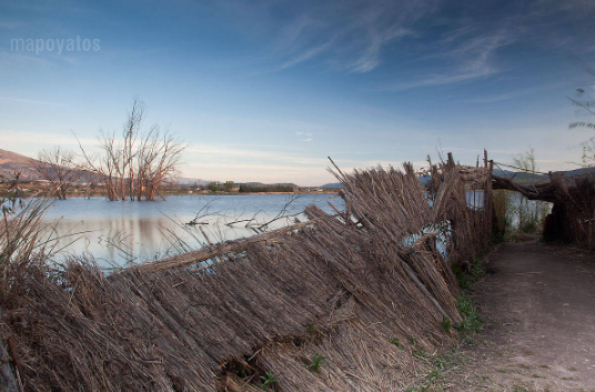 Arte y conciencia ambiental se dan cita en...
